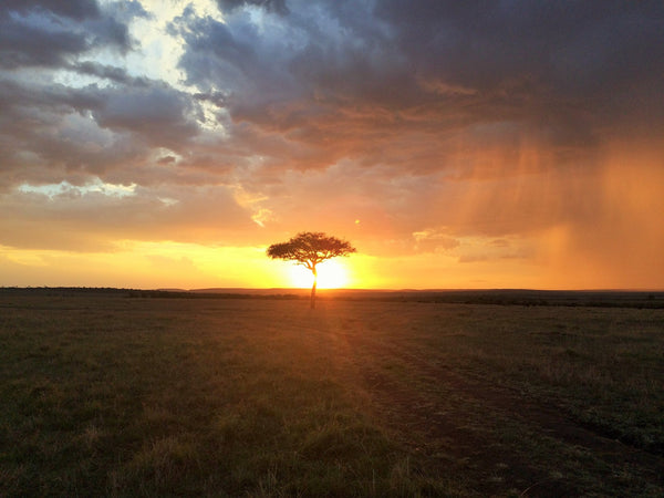 １日も早い終息を願って、美しいケニアの景色をお届けします