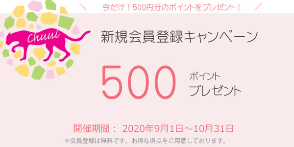 【キャンペーン】500ptがもらえる！新規会員登録キャンペーン