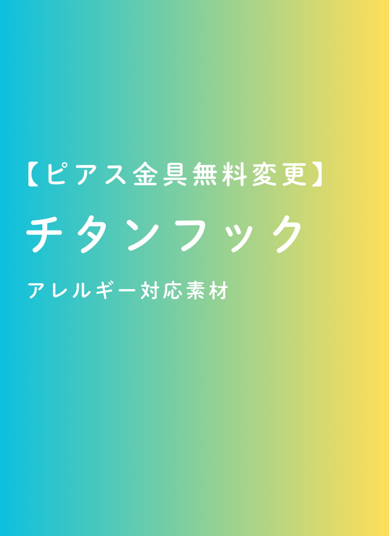 【ピアス金具無料変更】チタンフック（金属アレルギー対応）